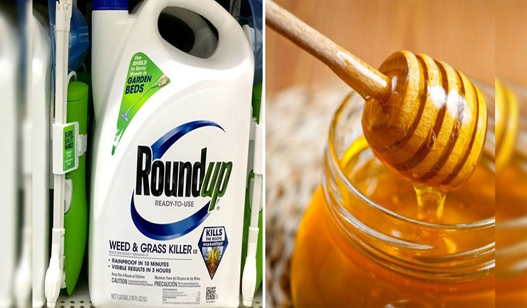 Almost All U.S. Honey Sold Commercially are Contaminated with Glyphosate Weed Killer Roundup — FDA