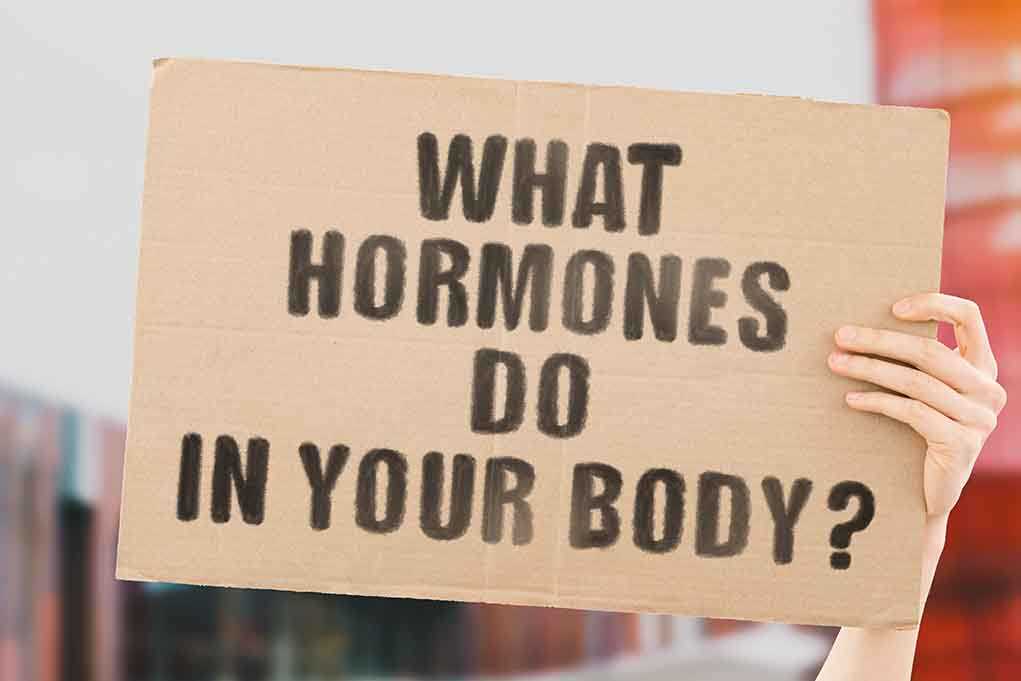 10 Types of Hormones and Their Functions